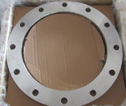 A182 Stainless Steel Flat Face Socket Weld Flange