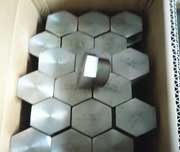 ASTM A105 Forged Hex Plug