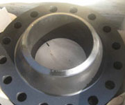 Stainless Steel Flange DIN 2576